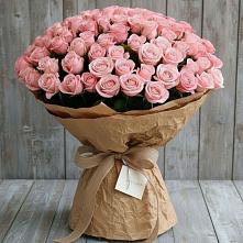 Букет 151 Роза Роуз #REPLACE_PRED# Дьяконове