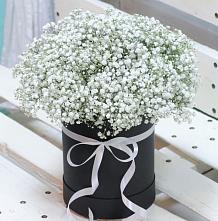 Цветочная композиция из Гипсофила в шляпной коробке #REPLACE_PRED# Дьяконове